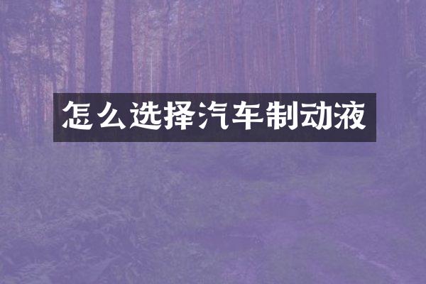 怎么选择汽车制动液