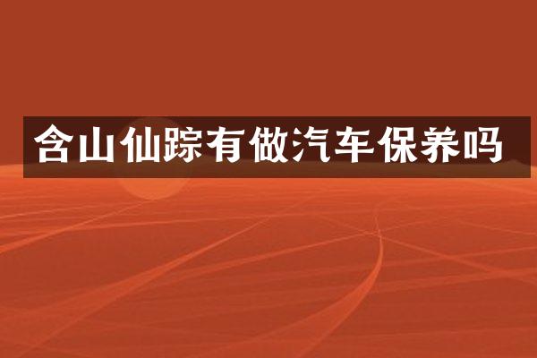 含山仙踪有做汽车保养吗