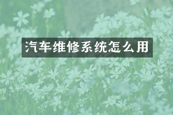 汽车维修系统怎么用