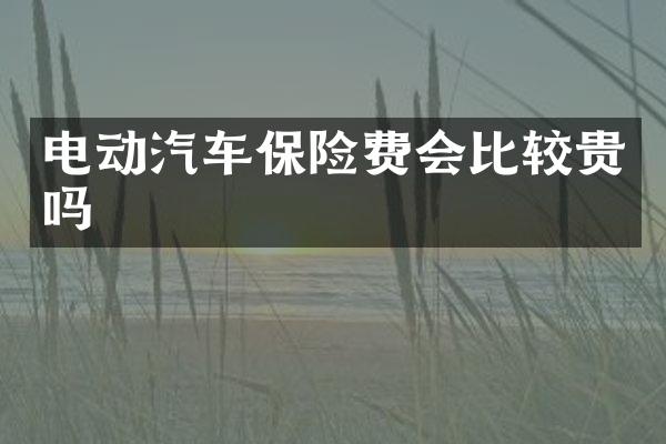 电动汽车保险费会比较贵吗