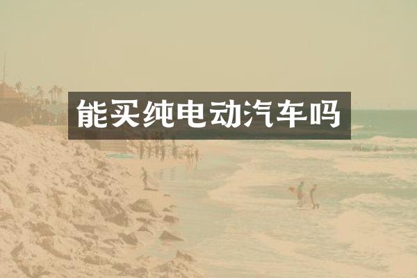 能买纯电动汽车吗