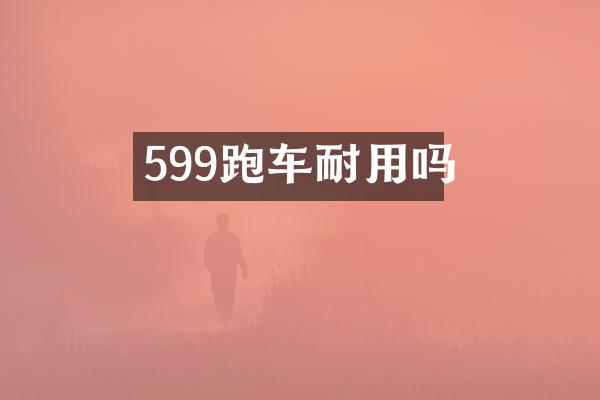 599跑车耐用吗
