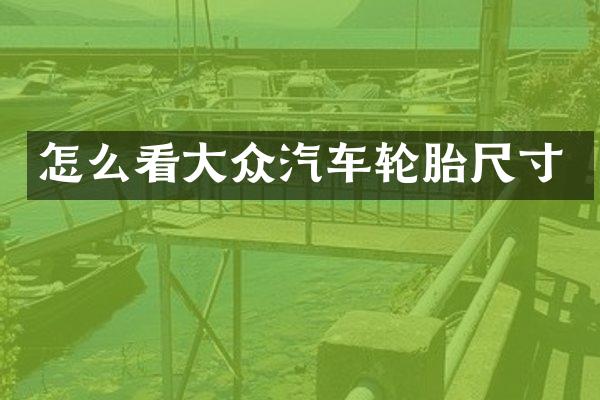 怎么看大众汽车轮胎尺寸