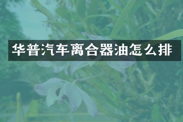 华普汽车离合器油怎么排