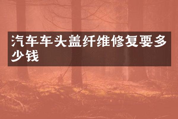 汽车车头盖纤维修复要多少钱