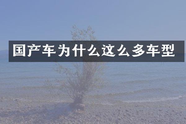 国产车为什么这么多车型
