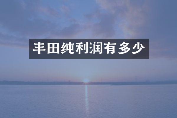 丰田纯利润有多少