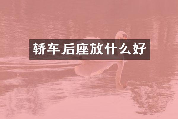 轿车后座放什么好