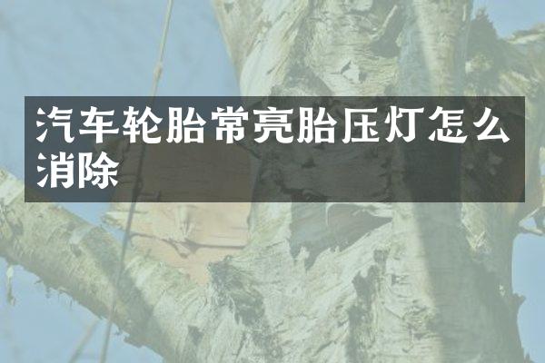 汽车轮胎常亮胎压灯怎么消除