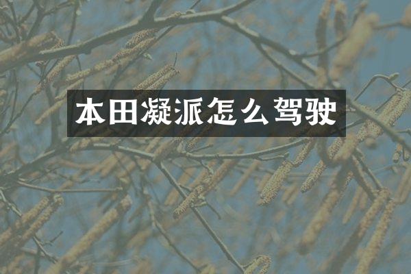 本田凝派怎么驾驶