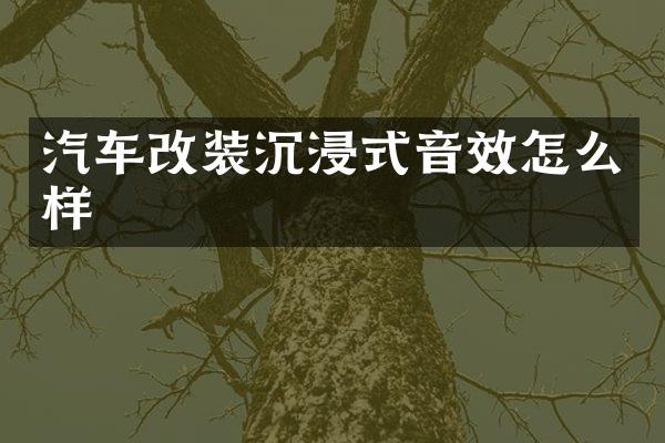 汽车改装沉浸式音效怎么样