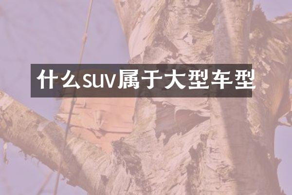 什么suv属于大型车型
