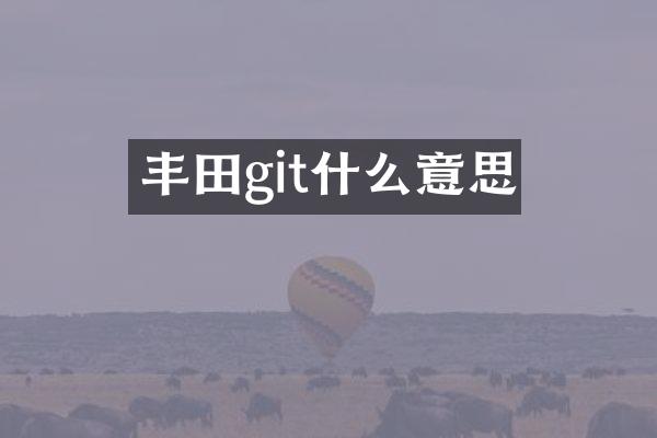 丰田git什么意思