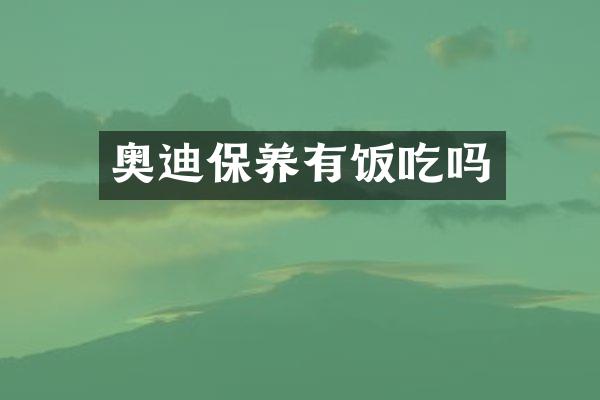 奥迪保养有饭吃吗