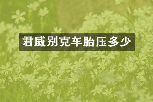 君威别克车胎压多少