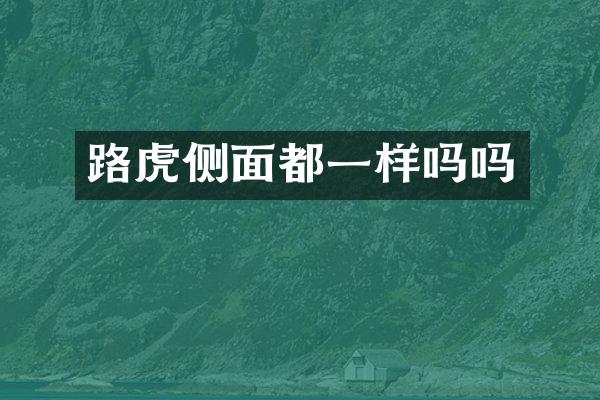 路虎侧面都一样吗吗