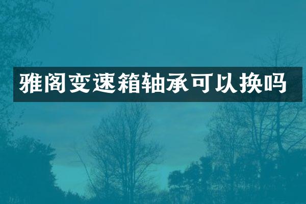 雅阁变速箱轴承可以换吗