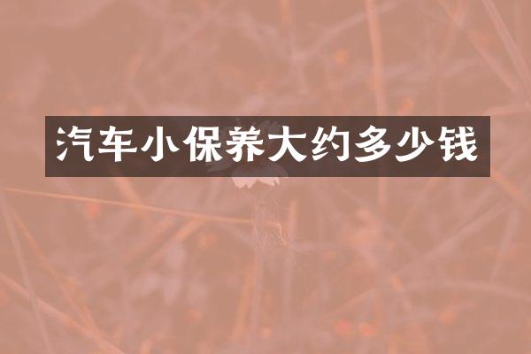 汽车小保养大约多少钱