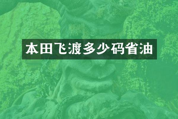 本田飞渡多少码省油
