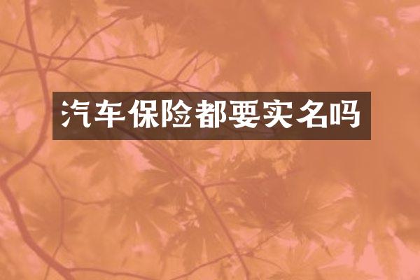 汽车保险都要实名吗