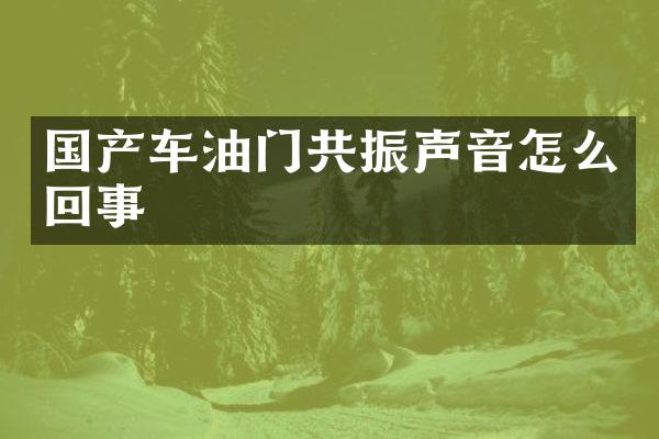 国产车油门共振声音怎么回事