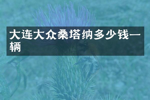 大连大众桑塔纳多少钱一辆