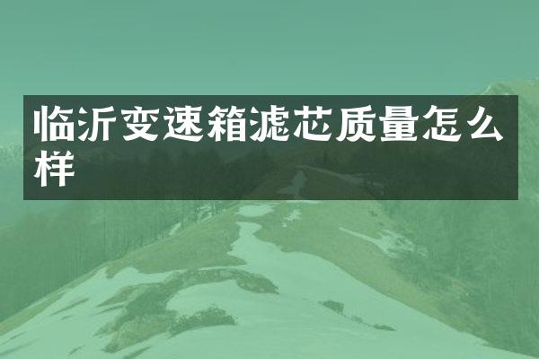 临沂变速箱滤芯质量怎么样