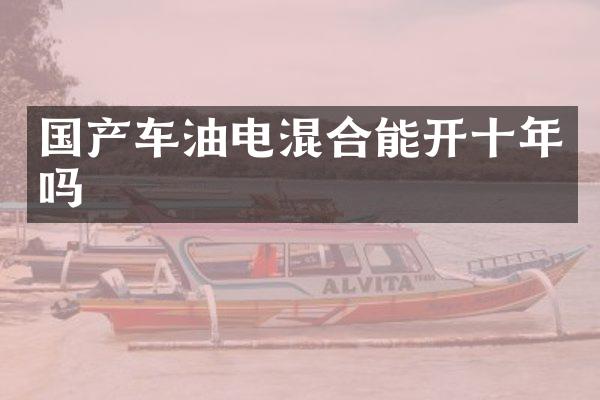 国产车油电混合能开十年吗
