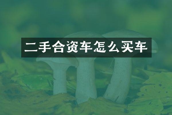 二手合资车怎么买车