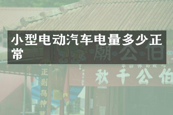 小型电动汽车电量多少正常