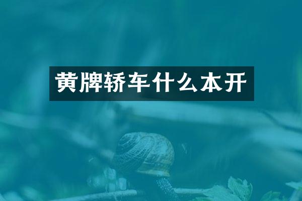黄牌轿车什么本开