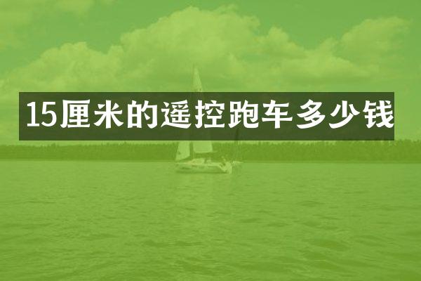 15厘米的遥控跑车多少钱