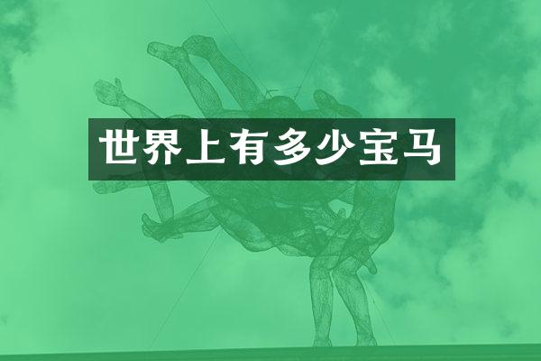 世界上有多少宝马
