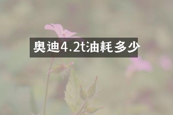 奥迪4.2t油耗多少