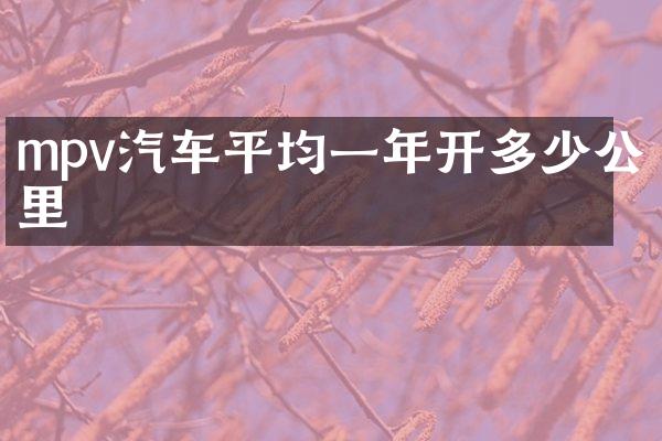 mpv汽车平均一年开多少公里
