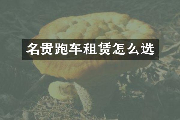 名贵跑车租赁怎么选