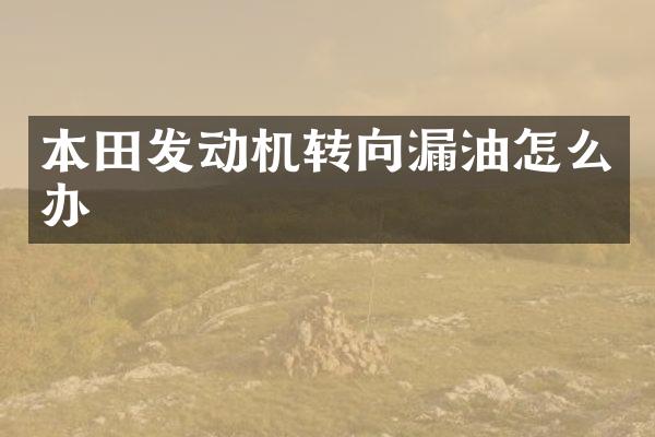 本田发动机转向漏油怎么办