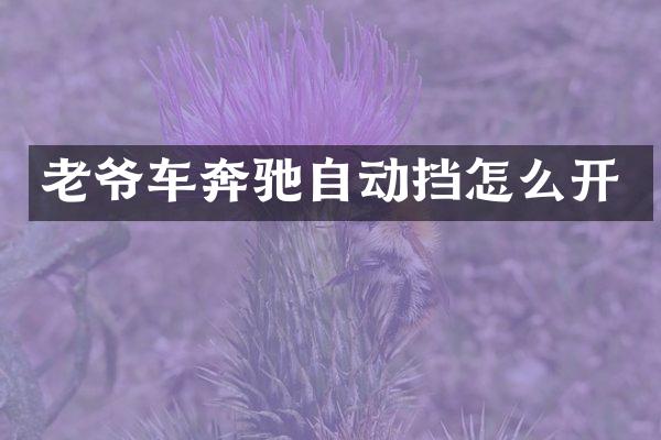 老爷车奔驰自动挡怎么开