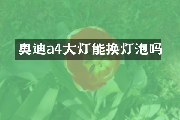 奥迪a4大灯能换灯泡吗