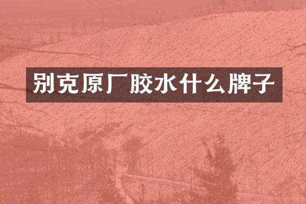 别克原厂胶水什么牌子