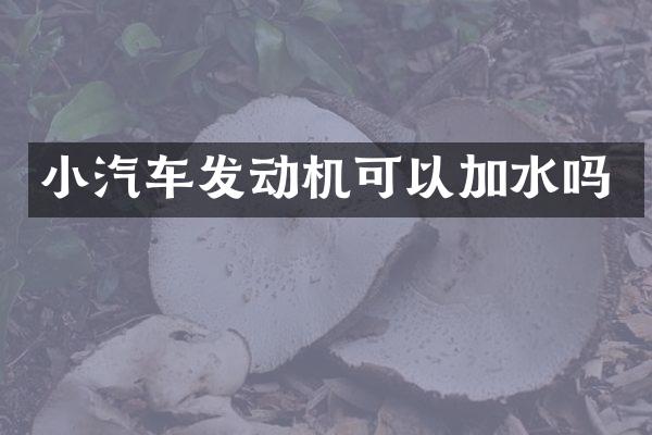 小汽车发动机可以加水吗