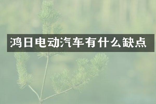 鸿日电动汽车有什么缺点