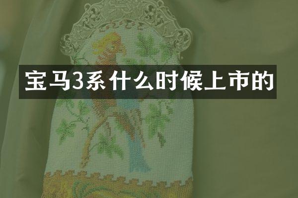 宝马3系什么时候上市的