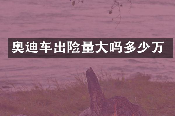 奥迪车出险量大吗多少万