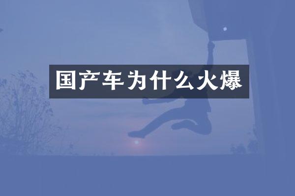 国产车为什么火爆