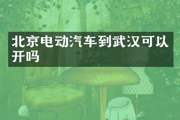 北京电动汽车到武汉可以开吗