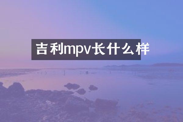 吉利mpv长什么样