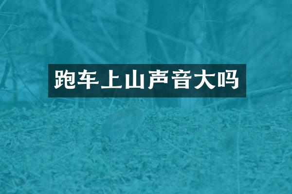 跑车上山声音大吗