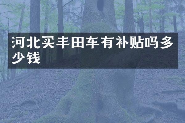 河北买丰田车有补贴吗多少钱