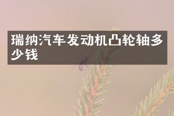 瑞纳汽车发动机凸轮轴多少钱